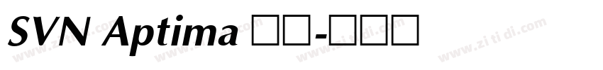 SVN Aptima 常规字体转换